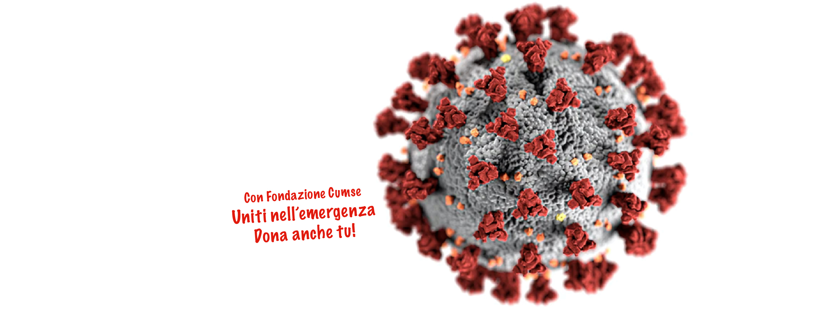 Raccolta Fondi Bassini