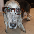 Lisetta (Mascotte Senior)